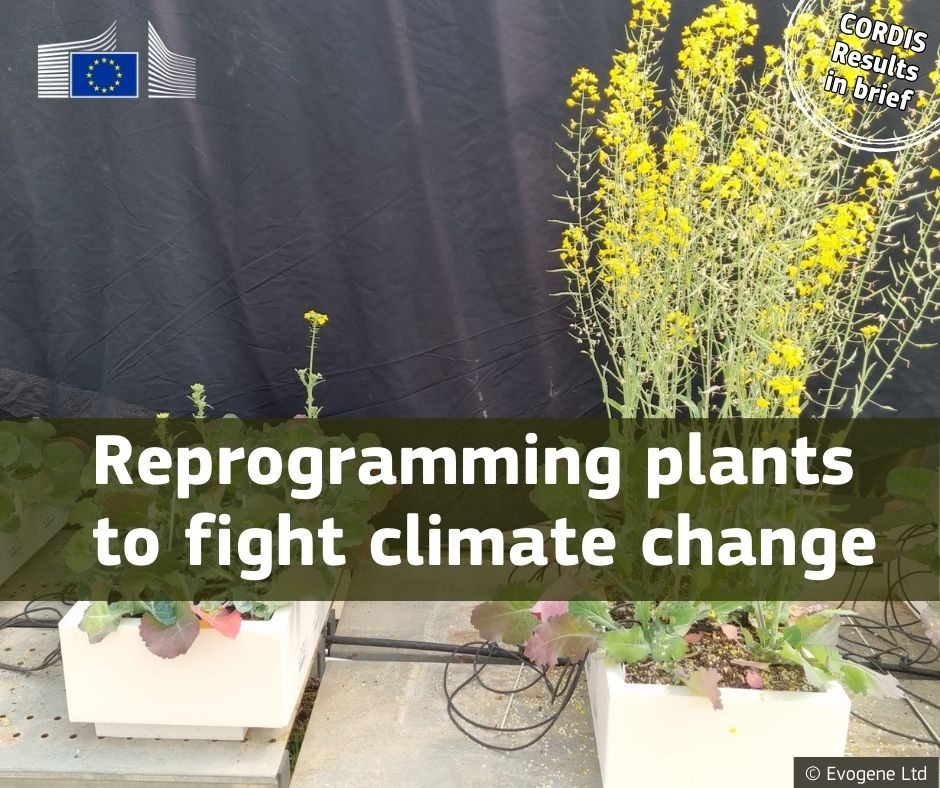 CORDIS Results in Brief: Reprogramming plants to fight climate change