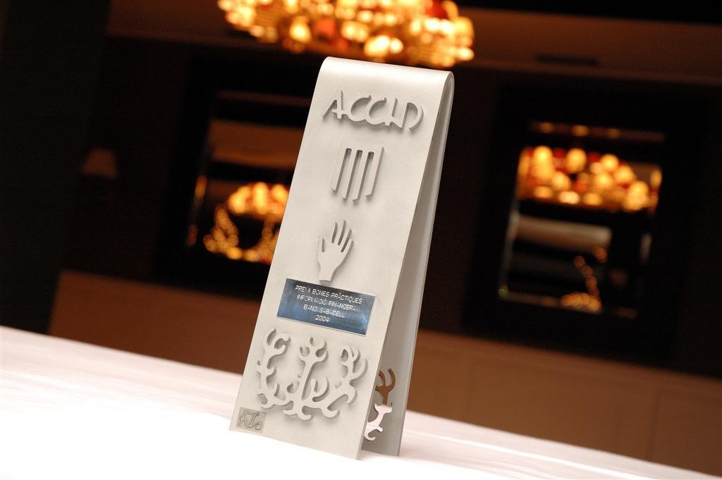 Estatueta Premis ACCID