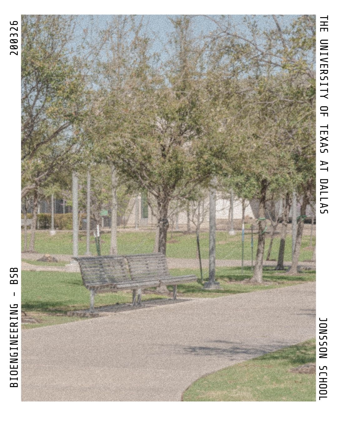 Grainy polaroid photo with an empty sidewalk and a bench with trees behind it.