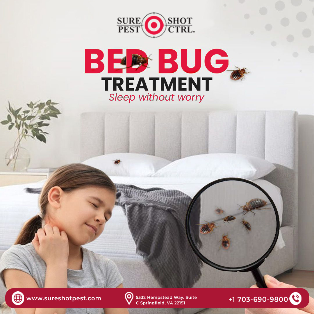 Bed Bug Treatment in SpringfieldVA