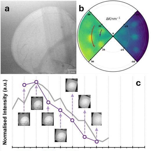 Graph showing a silicon waver that has been chemically etched, SHeM micrographs and polar plots of spatially resolved diffraction scans followed by intensity maps as a function of rotation angle. 