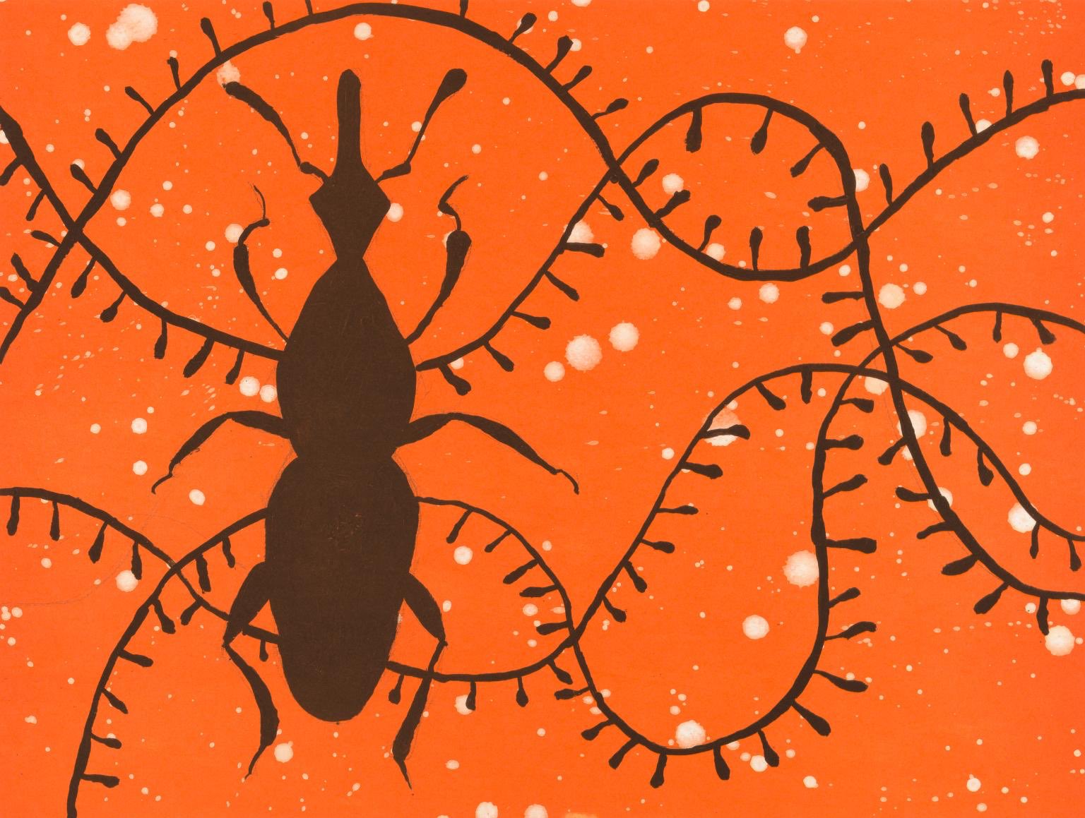 “Yinka Shonibare's arabesque lithograph, Grain Weevil, depicts a beetle that damages stored grain by boring into it in order to deposit its eggs. A glossy beetle is silhouetted against a matt orange background which is criss-crossed by curving black lines. The white spots that spread over the surface of the print are suggestive of both contamination and insect eggs.”