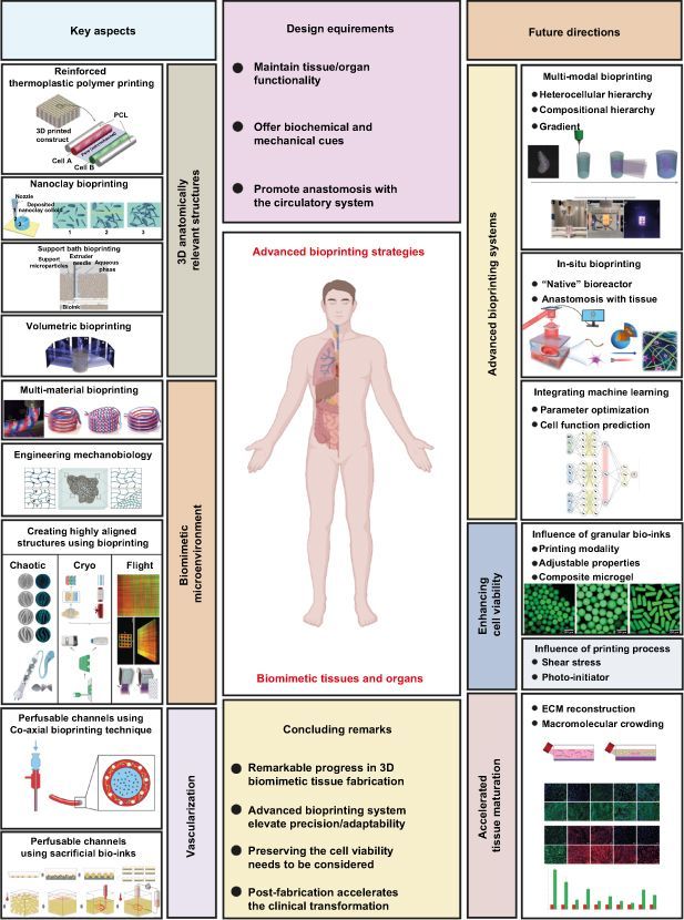 Advanced bioprinting strategies for fabrication of biomimetic tissues and organs