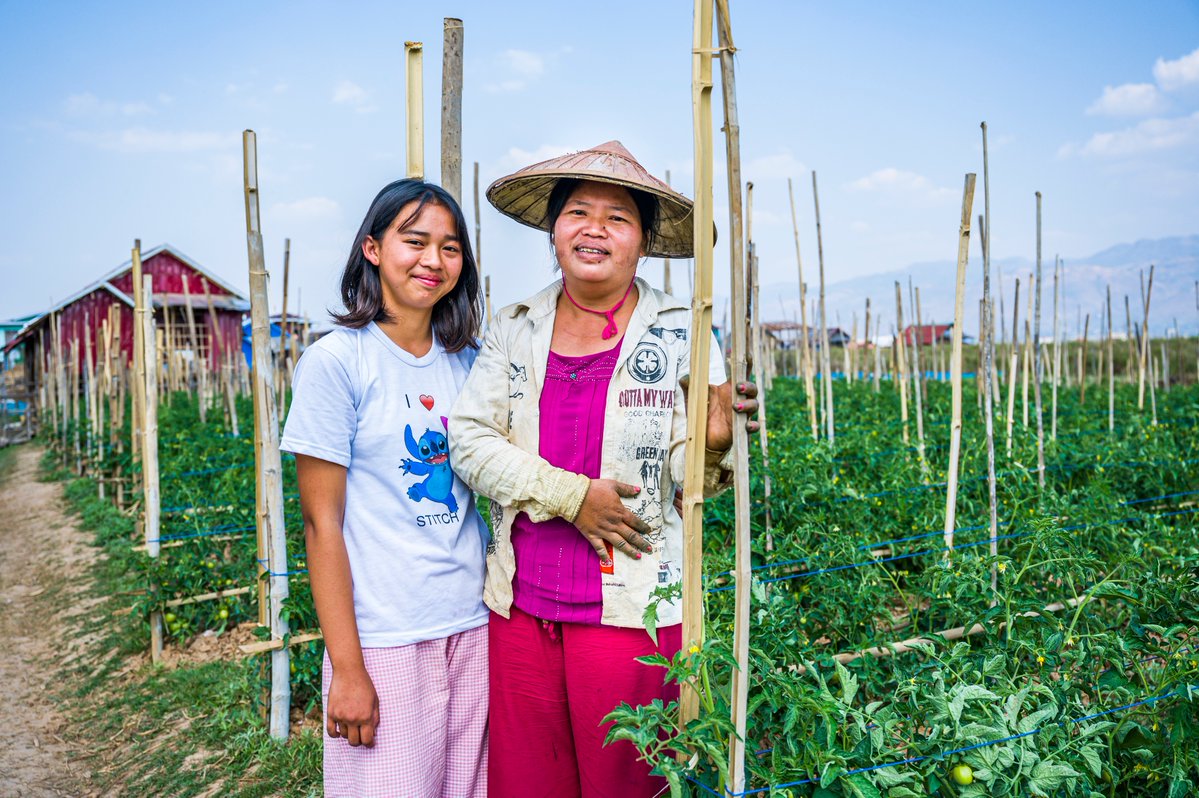 A smiling young girl and her mother wearing a traditional bamboo hat stand happily together in a lush green tomato garden supported by bamboo stakes.