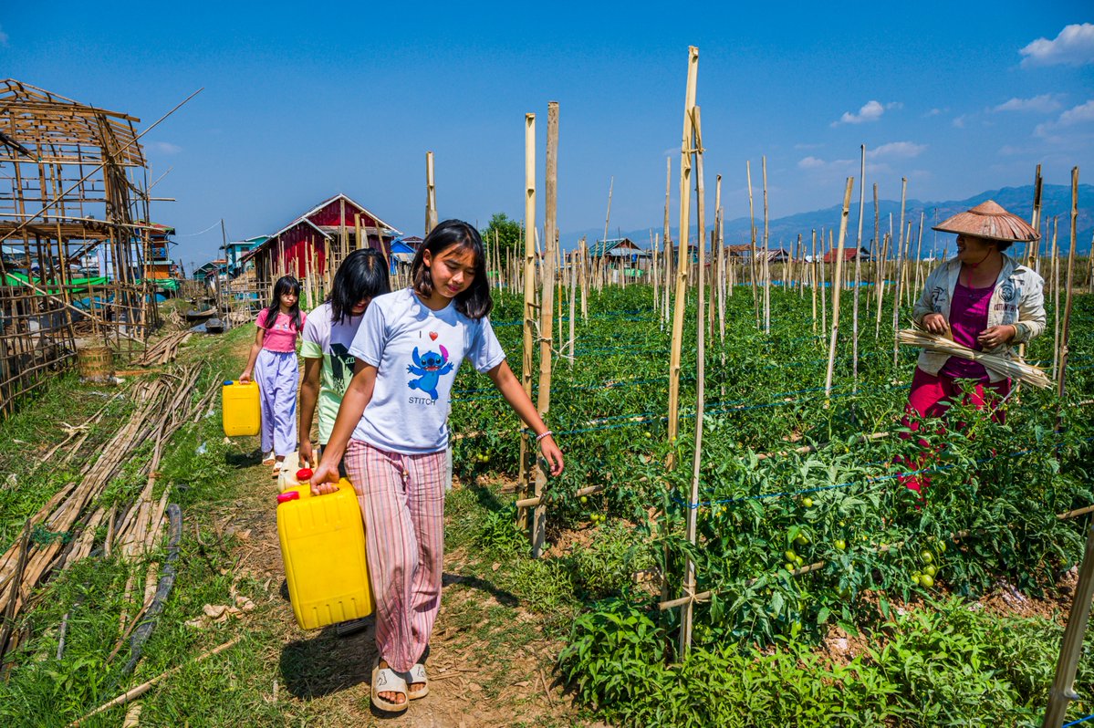Three young girls carry bright yellow water containers as they walk along a grassy path next to a lakeside tomato field, passing a woman working among the crops under a sunny blue sky.