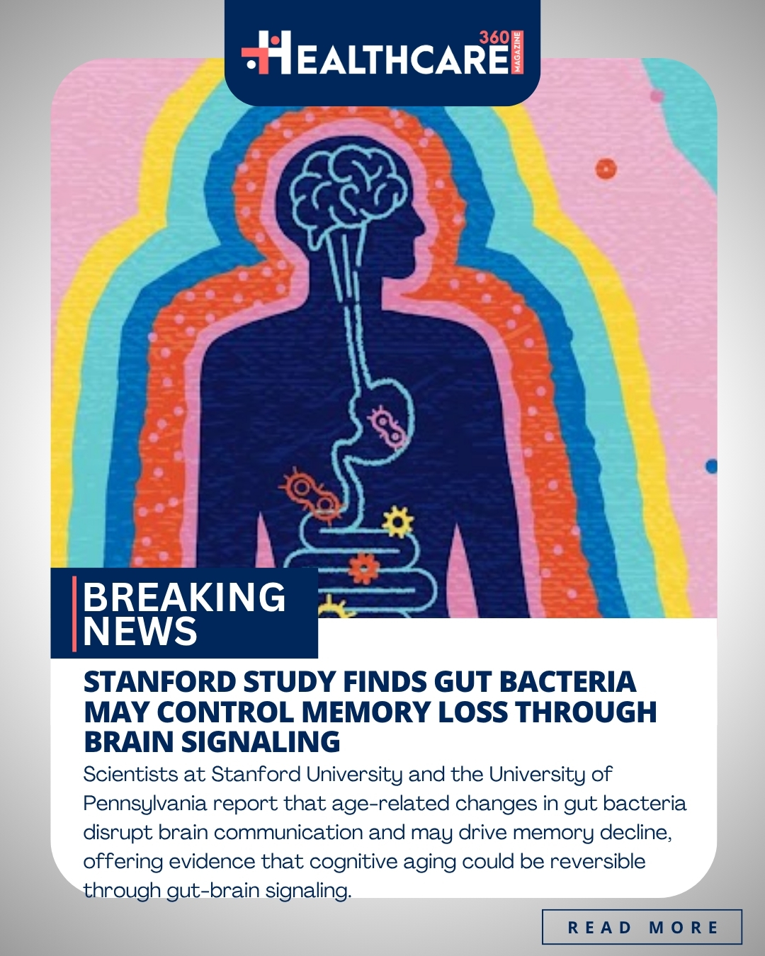 Illustration of a human silhouette showing the connection between gut bacteria and the brain with colorful aura waves.