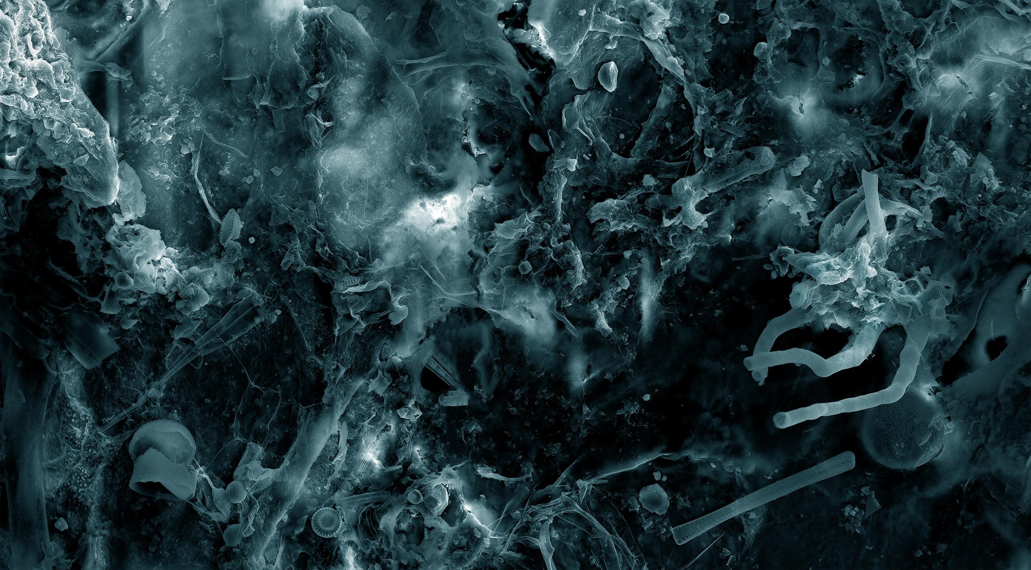 Fot. Kuba Bąkowski, dzięki uprzejmości artysty