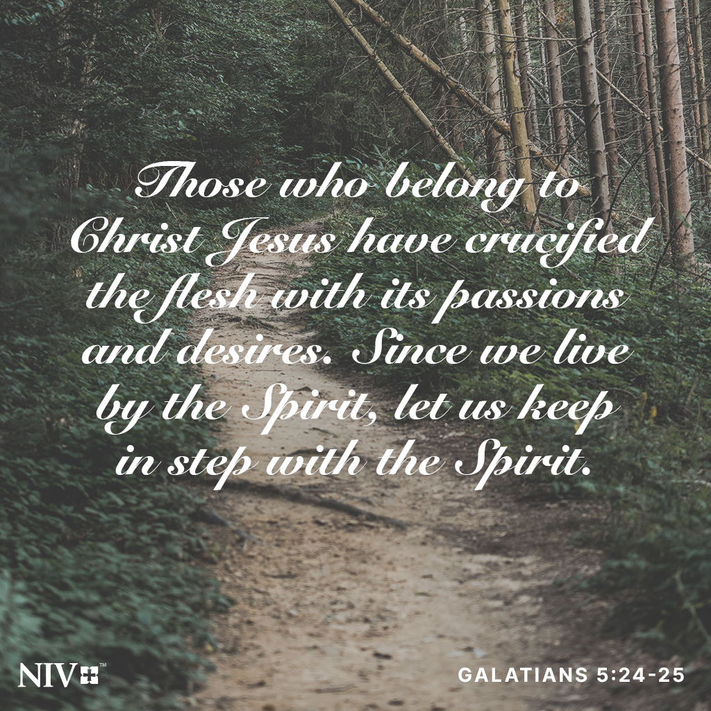A path in the forest with a couple downed trees and the Galatians 5:24-25 NIV Bible verse; "Those who belong to Christ Jesus have crucified the flesh with its passions and desires. Since we live by the Spirit, let us keep in step with the Spirit."