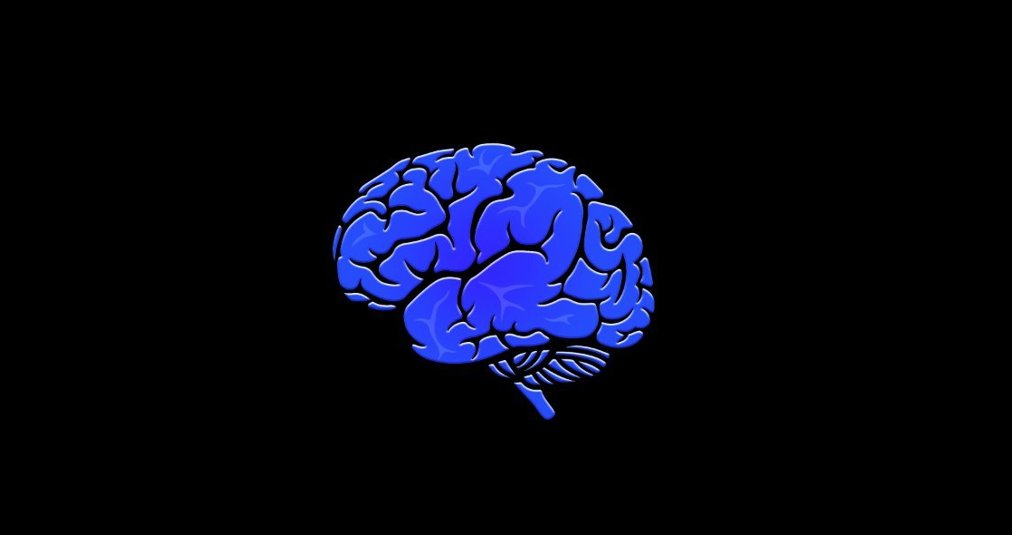 Blue stylised human brain illustration on a black background highlighting brain folds and structure forming the logo for psypost