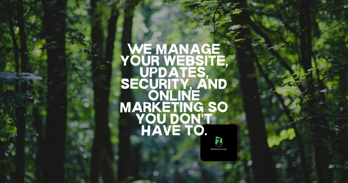 We manage your website so you don’t have to. 