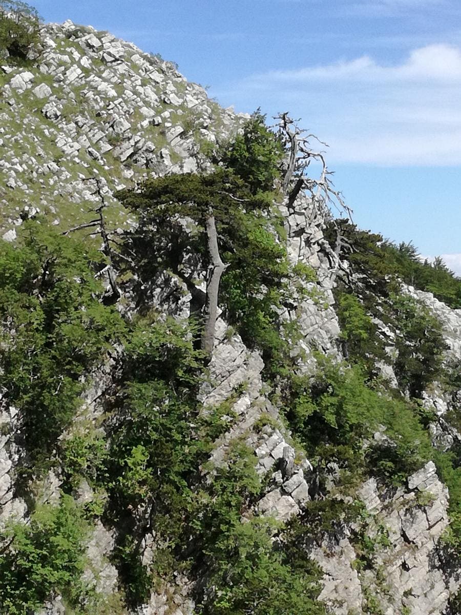 Belvedere del Malvento
Foto ©Francesco Morello 