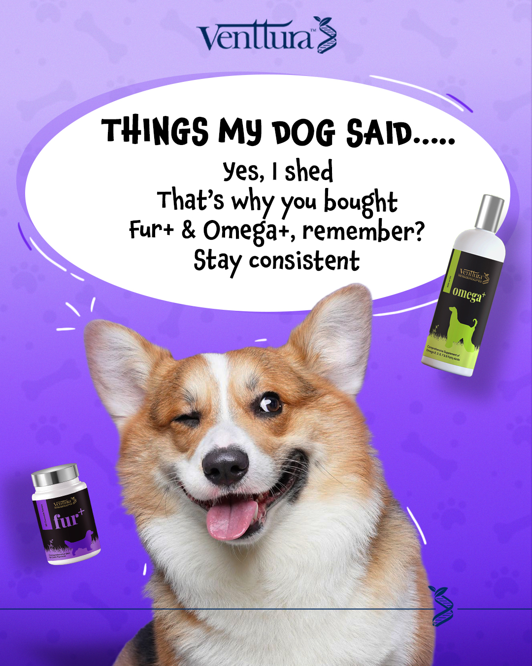 Venttura Fur+ and Omega+ dog supplements for shedding control and healthy coat in dogs – Venttura Bioceuticals