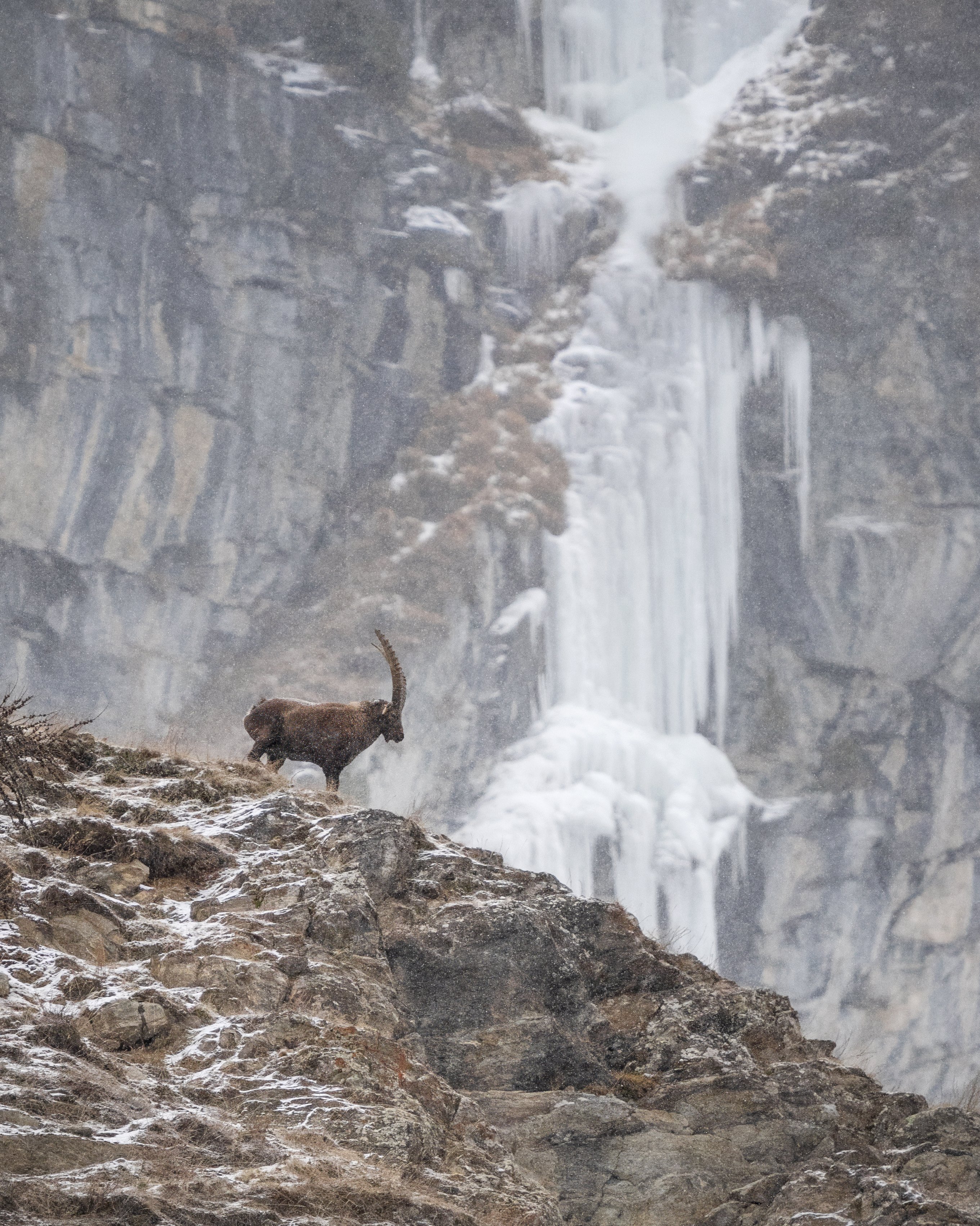 Foto di: Andrea Poggi (@poggi_photos)
