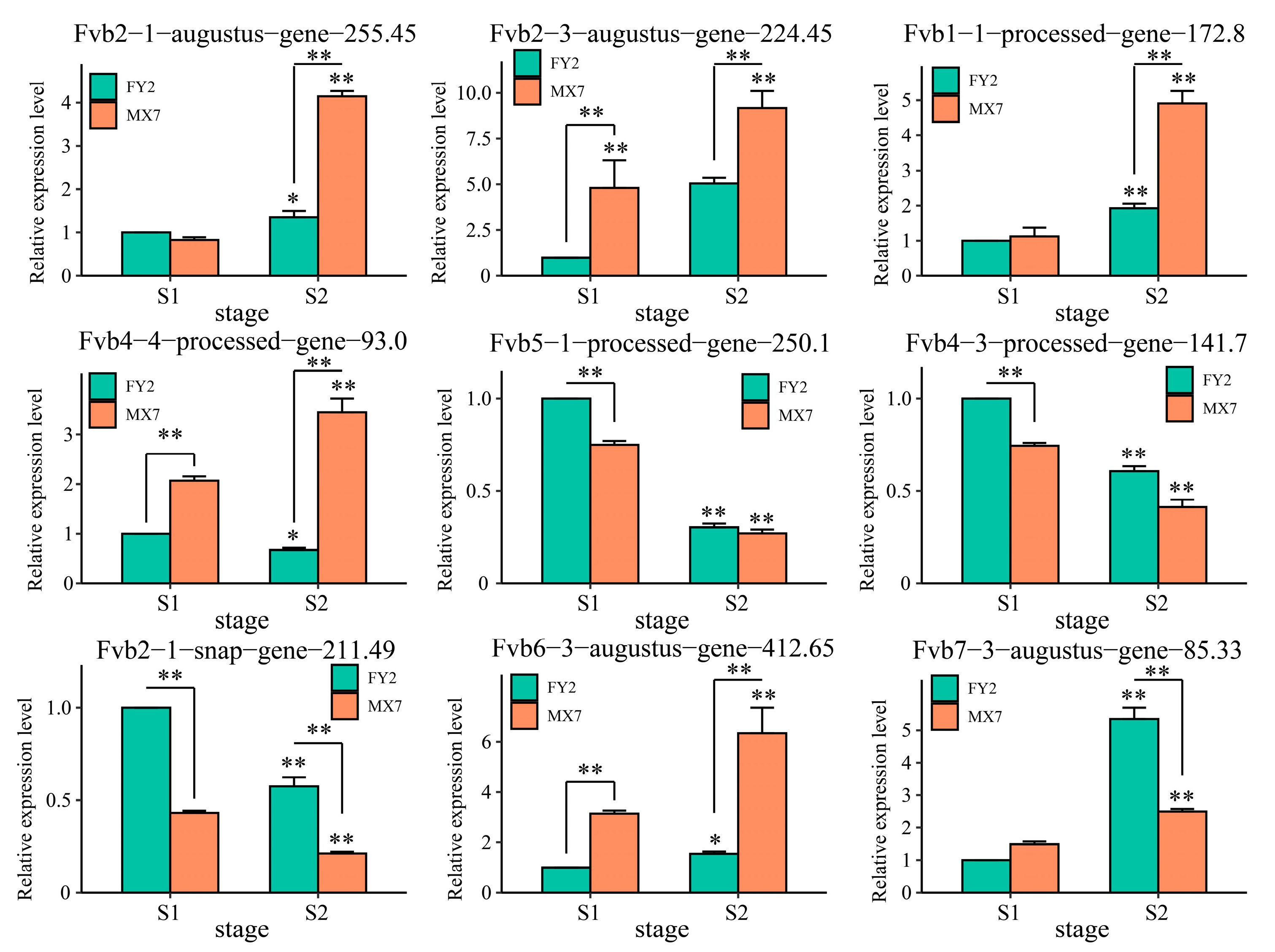 Expression patterns of nine candidate genes before and after the strawberry flesh color change. The results are presented as the means ± SDs