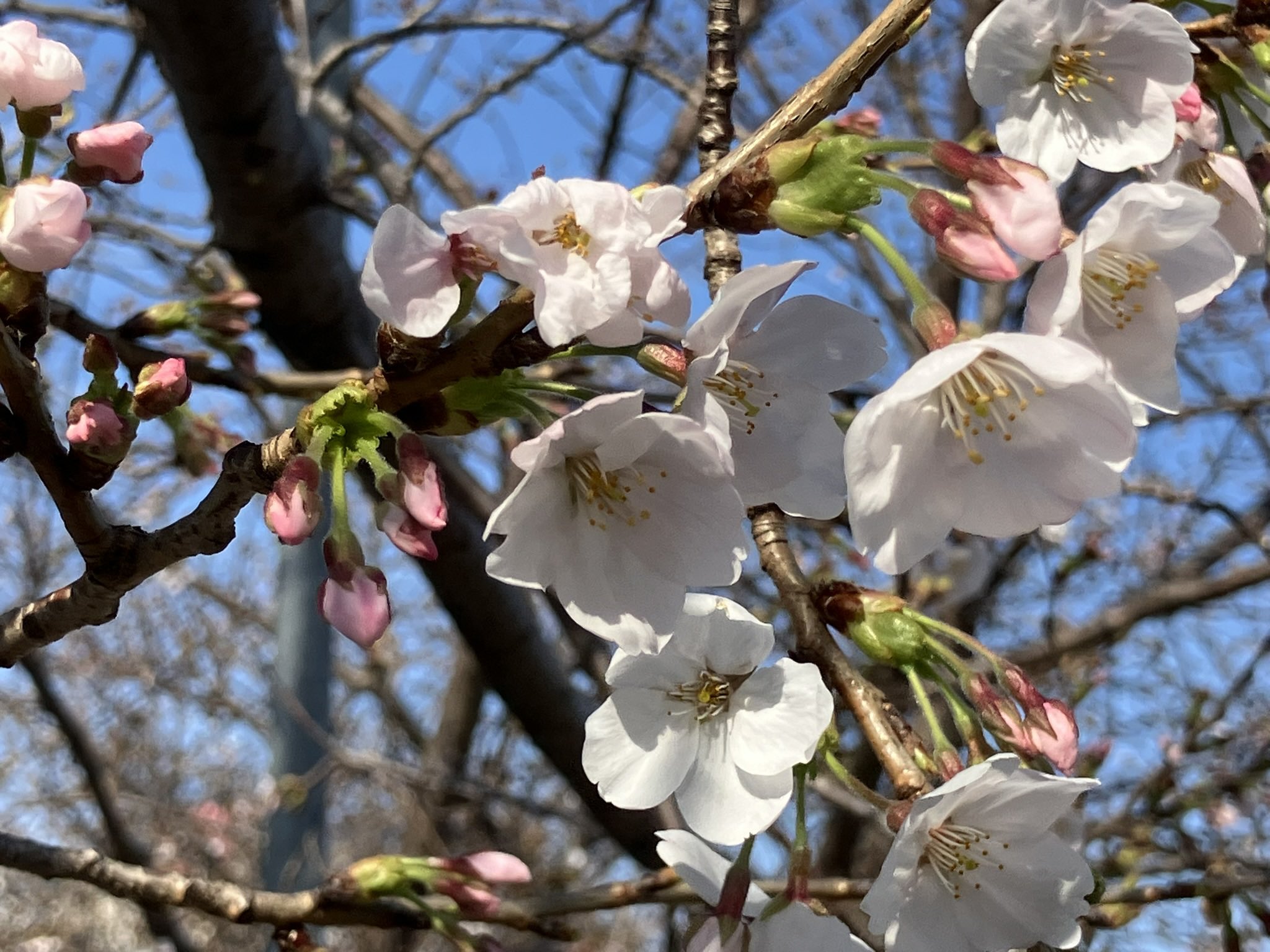 今週もおつかれ様でした🍵
明日も良い日になりますよ
うにお願いします🍣