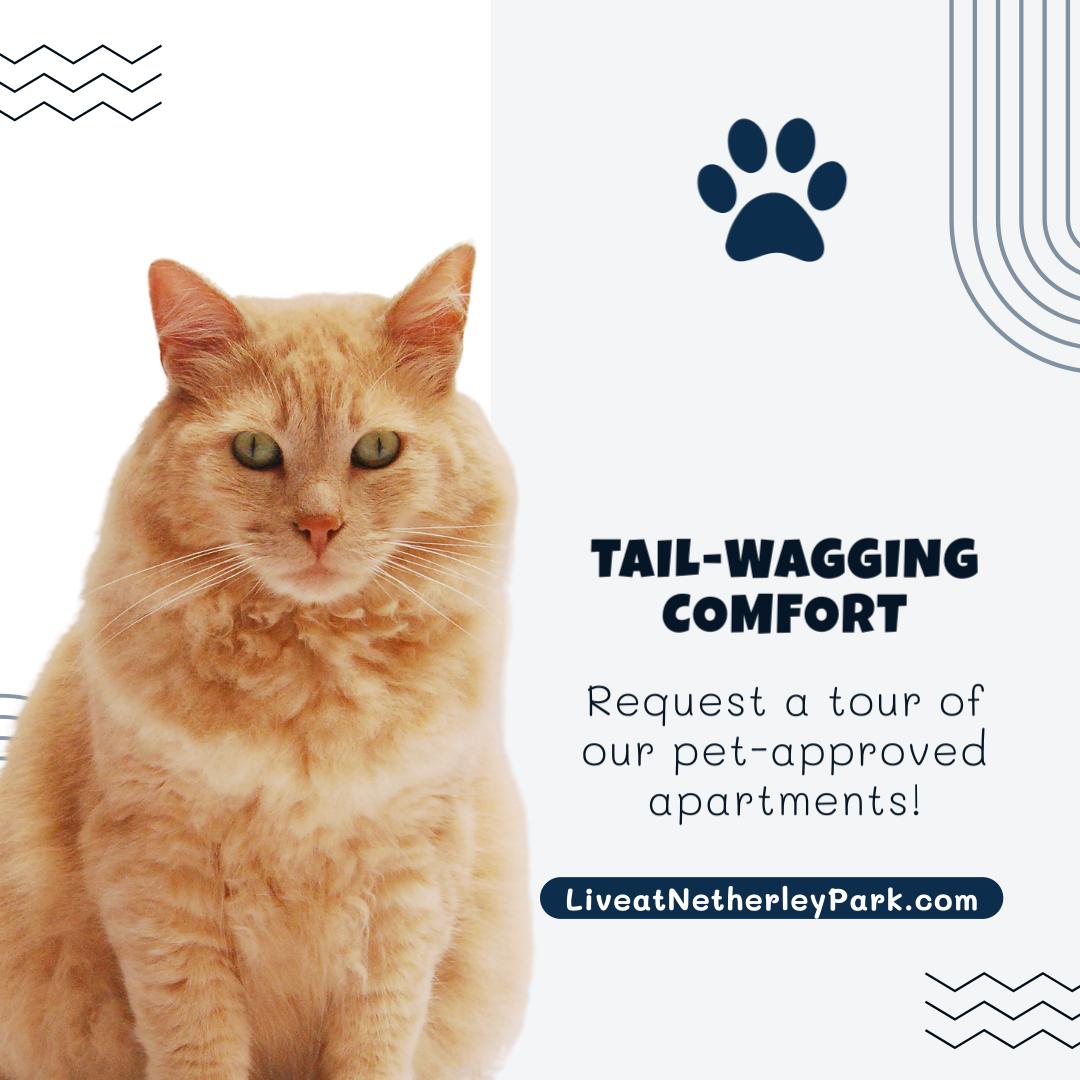 Tail-Wagging Comfort - Request a tour of our pet-approved apartments! - LiveatNetherleyPark.com