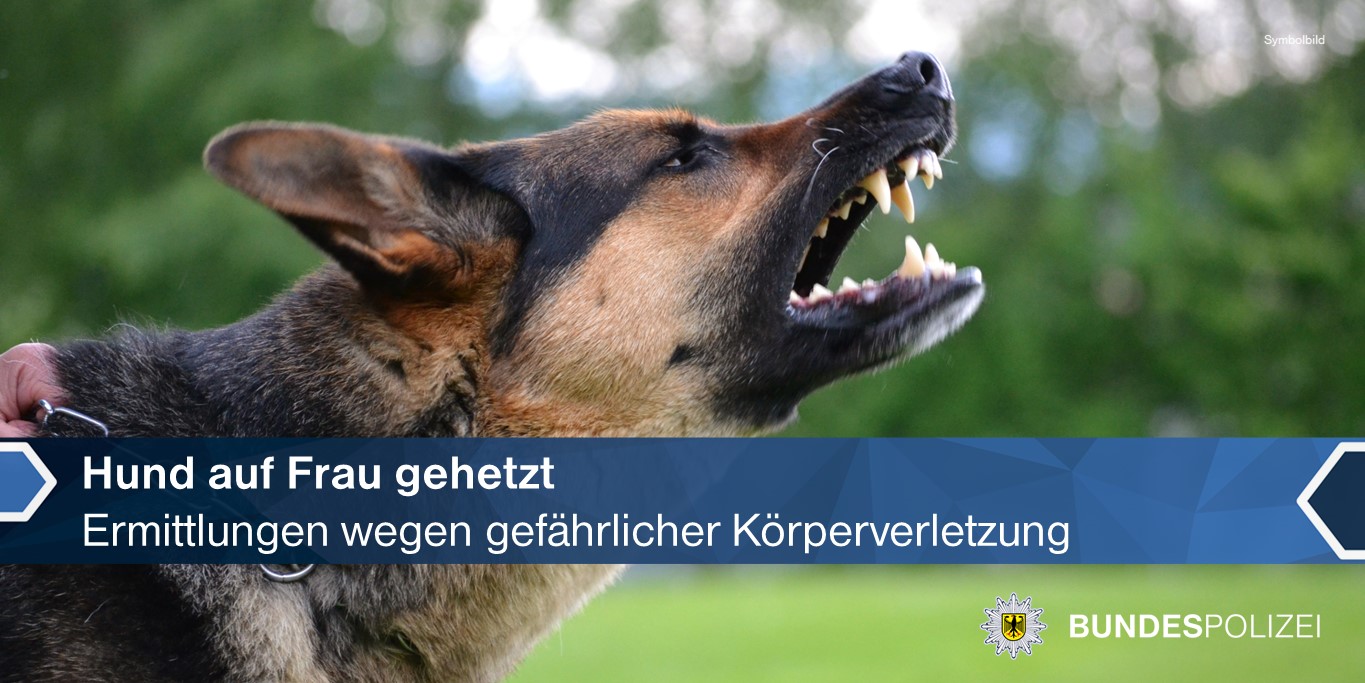 Das Symbolbild zeit einen Hund, der die Zähne fletscht.