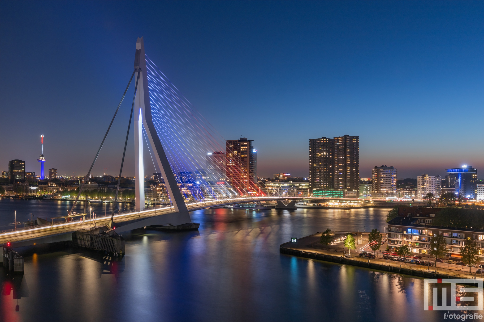 De Erasmusbrug in Rotterdam