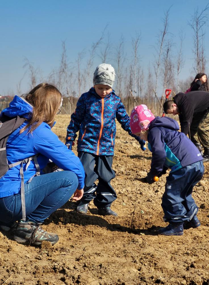 Dwoje dzieci i kobieta pochylają się nad małą sadzonką drzewa.