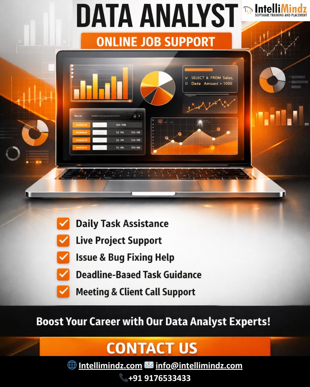 Data Analyst Online Job Support