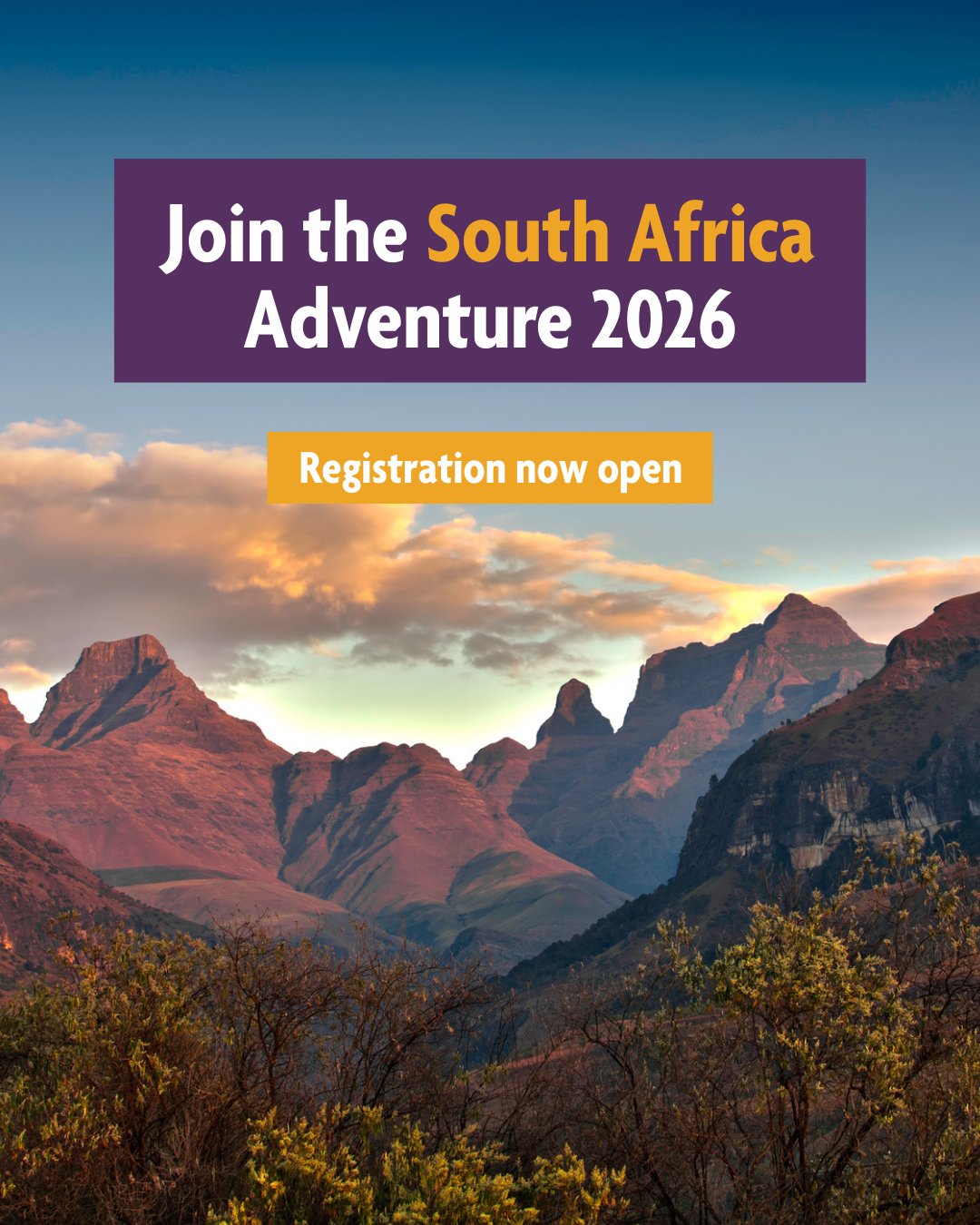 A stunning landscape of the sunlit Drakensberg Mountains under a soft sunset sky. Overlaid text in a purple and yellow box reads, "Join the South Africa Adventure 2026," with a yellow button below stating, "Registration now open."