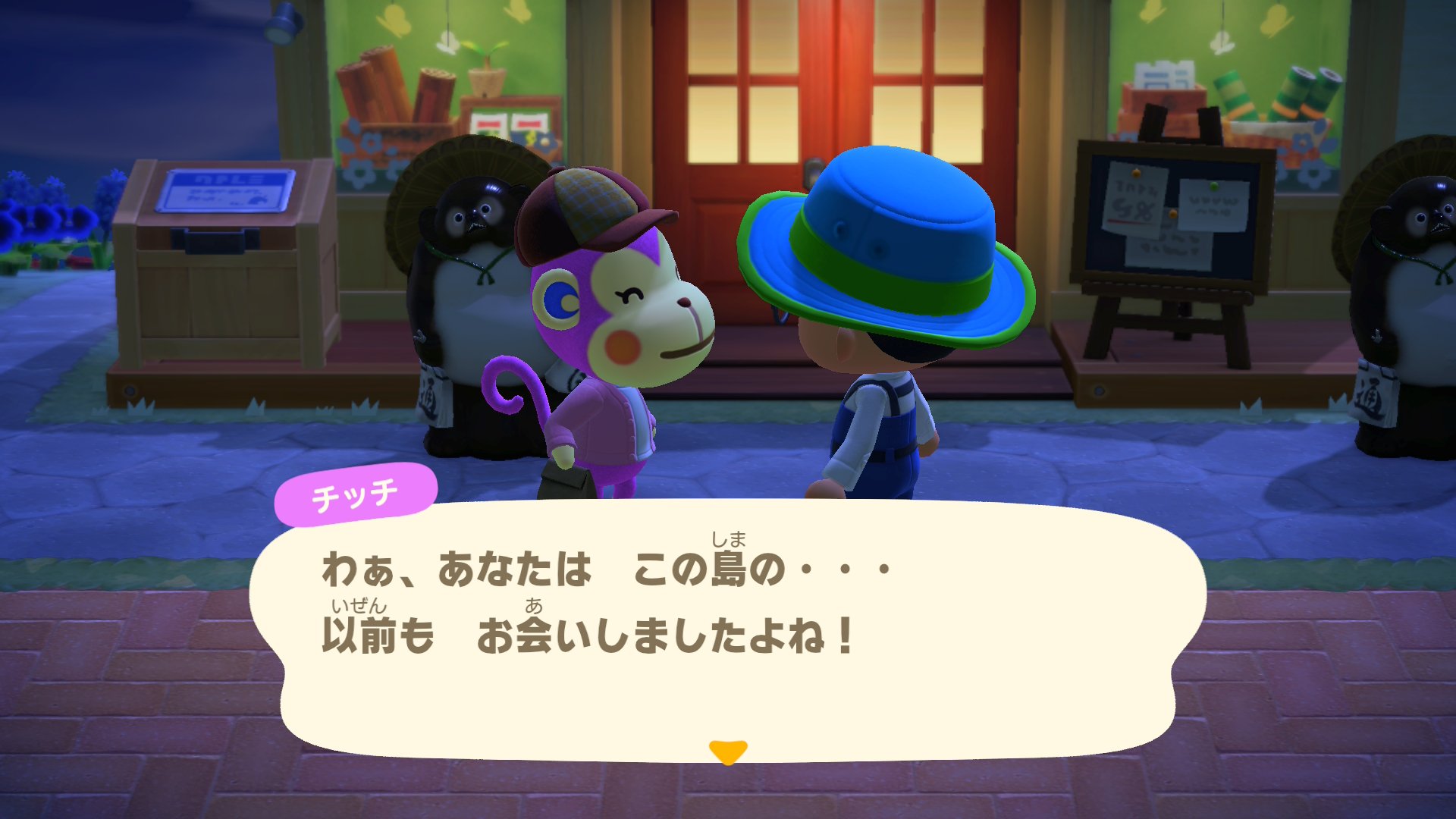 本日四人目の観光客のチッチが、やって来ました。