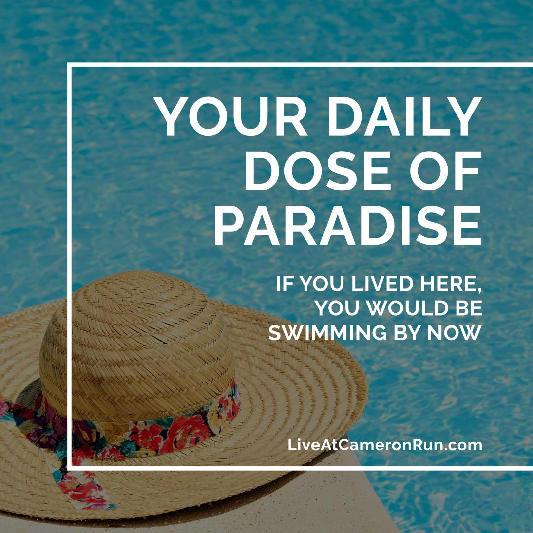 Your Daily Dose of Paradise - If You Lived Here, You Would Be Swimming By Now - LiveAtCameronRun.com