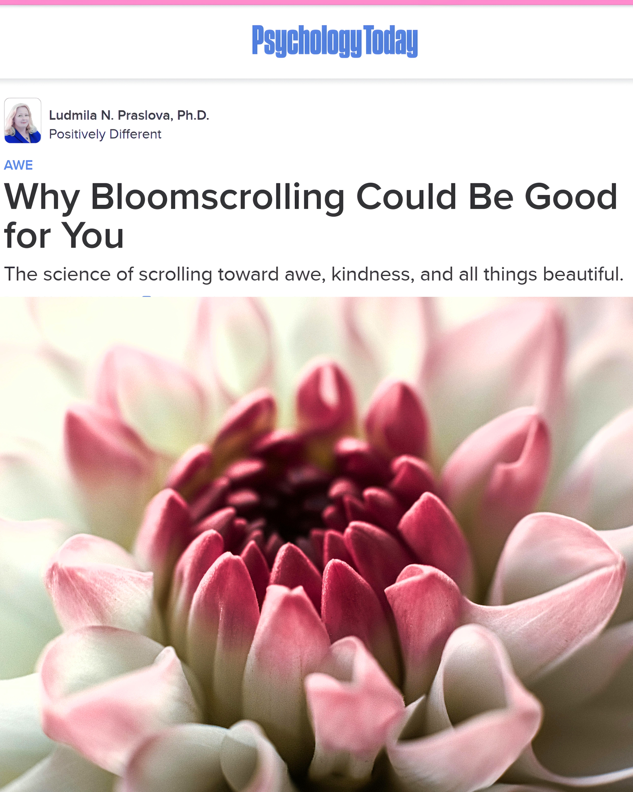Psychology Today headline Why Bloomscrolling Could Be Good for YouThe science of scrolling toward awe, kindness, and all things beautiful. A close-up of a pink and white flower. 