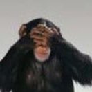 Yazar. Çizer. konuşur, söyler