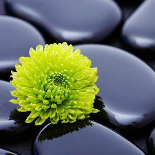 makes good sense aka Sandra happily married.