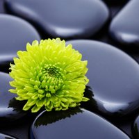 makes good sense aka Sandra happily married.