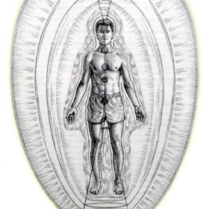 Schumann Instituut Nederland