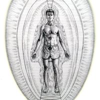 Schumann Instituut Nederland