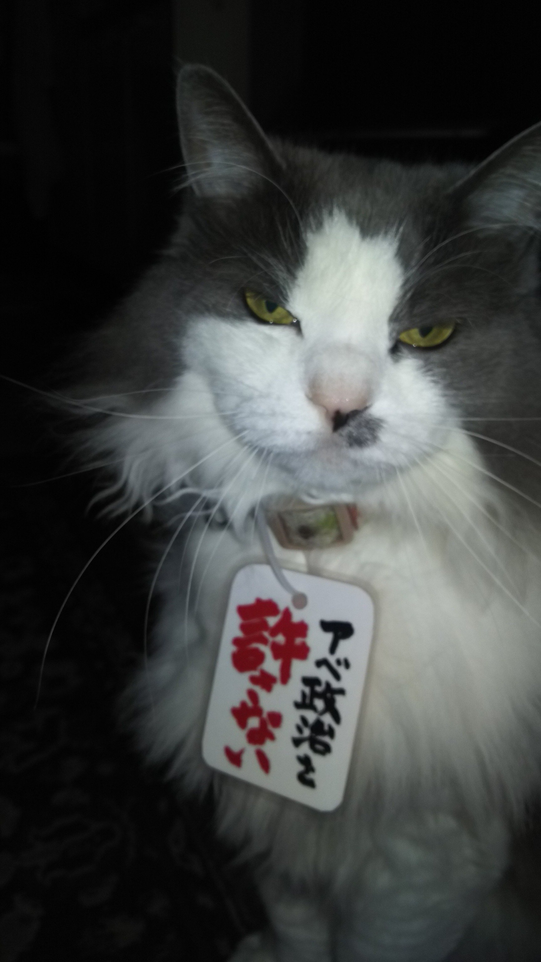 立憲民主主義リアル街宣の会（ヤマダ キヨタカ）