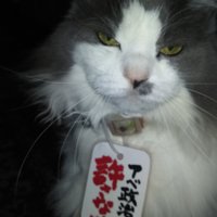 立憲民主主義リアル街宣の会（ヤマダ キヨタカ）