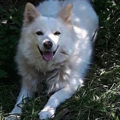 Laura Feeney 🇨🇦🇨🇦🇨🇦