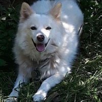 Laura Feeney 🇨🇦🇨🇦🇨🇦