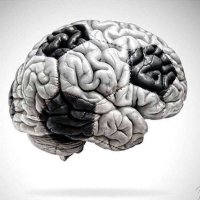 The Extreme Football Enthusiast