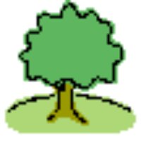 ば そ💙💛🍉🌳立憲がんばれ 中道がんばれ　まっとうな政治　支え合う社会