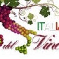 italiadelvino.com