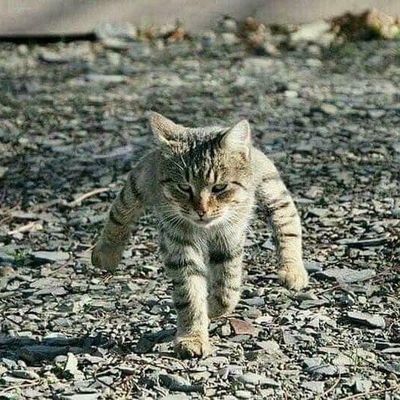 えいちゃん@ゲーム大好き