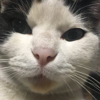 メバル 💉💉💉💉💉