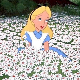 Kika 🥂🧙‍♀️💛