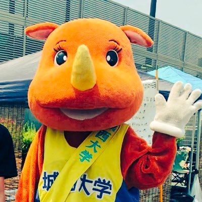 城西大学女子駅伝部