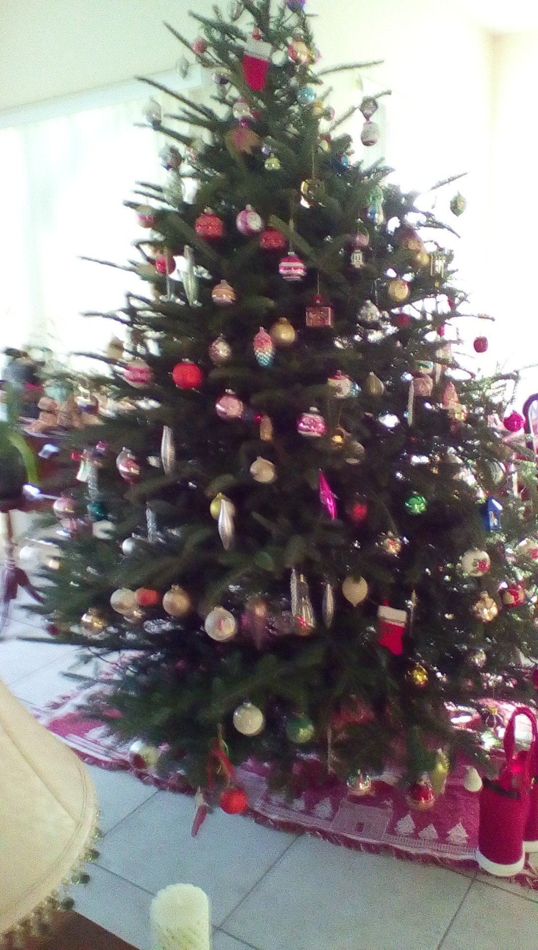 Ultra MAGA Kathi Angelone