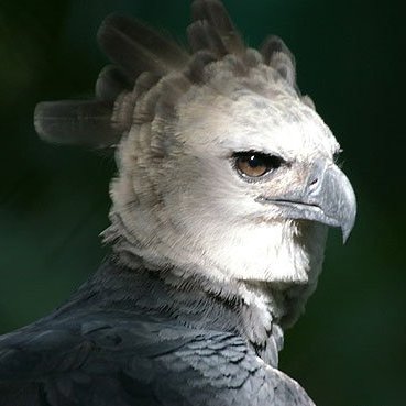 Carlo Brescia Seminario