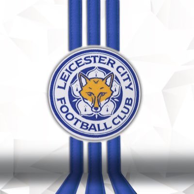 fearlessfoxes