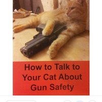 Brad Schmitt 🇺🇲🇺🇲