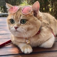 suspicious white powder