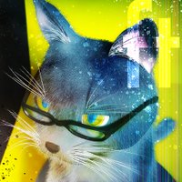 フツララ / futurala